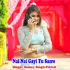 About Nai Nai Gayi Tu Sasre Song